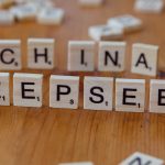 Is SEO slowly dying or just getting harder after AI tools?